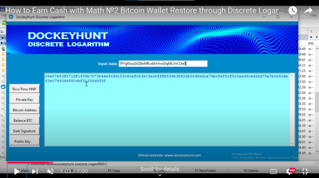 Discrete Logarithm mathematical methods and tools for recovering cryptocurrency wallets Bitcoin